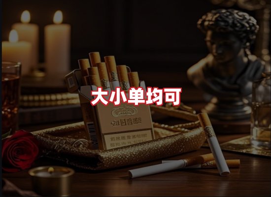 专业团队